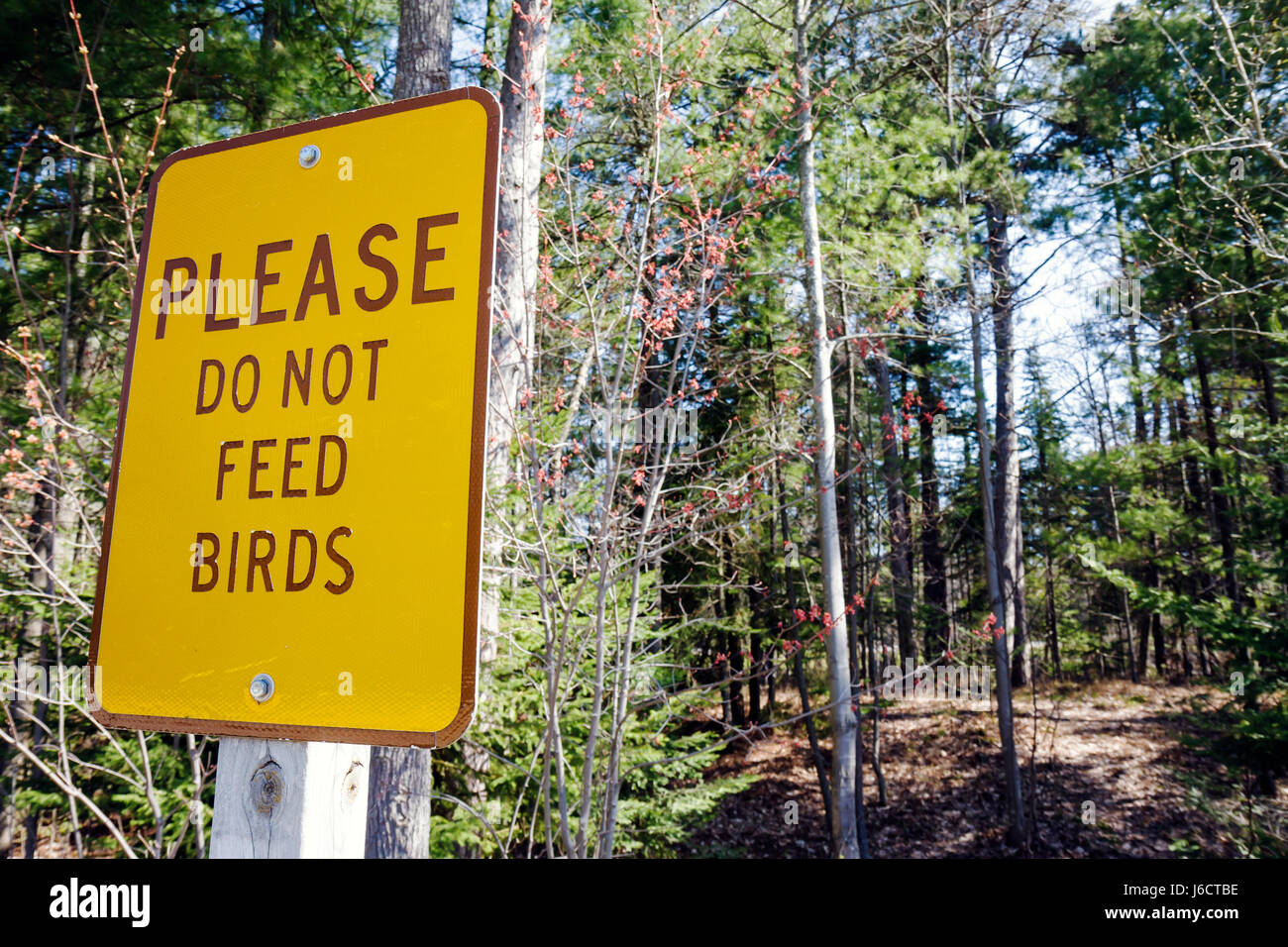 Michigan Upper Peninsula,U.P.,UP,Naubinway,Lake Michigan,punto più settentrionale,foresta di conifere,legno duro settentrionale,natura,segno,non dare da mangiare agli uccelli,giallo,MI09 Foto Stock