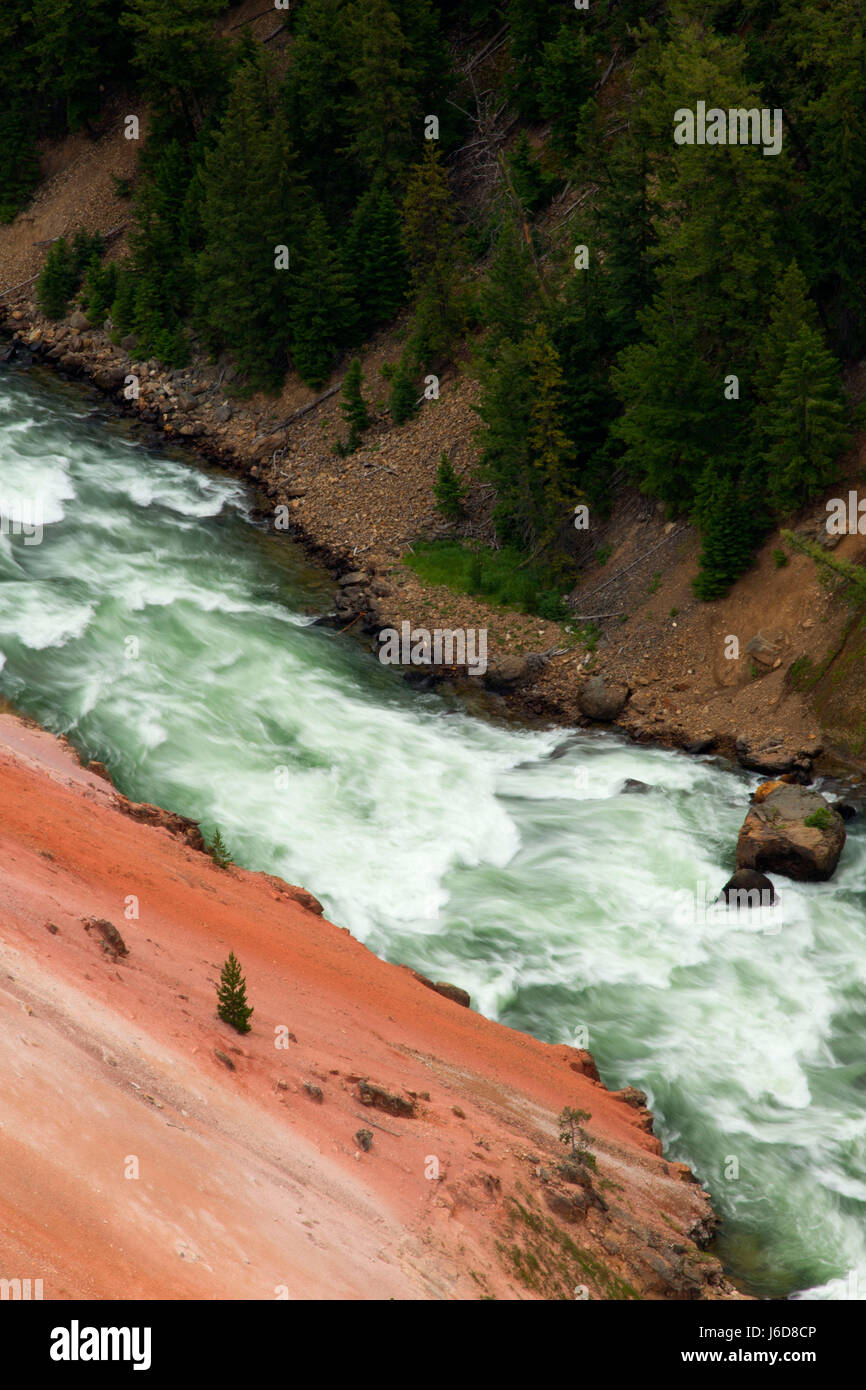 Il Grand Canyon di Yellowstone da Grandview Point, il Parco Nazionale di Yellowstone, Wyoming Foto Stock