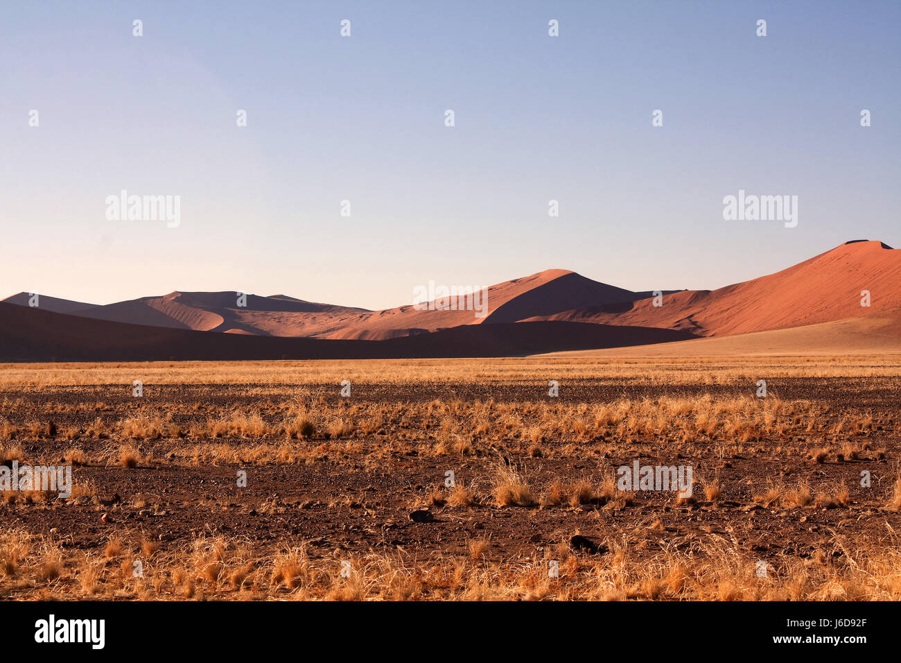 Le dune rosse di Namibia Foto Stock