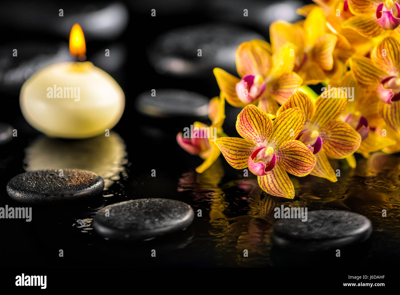 Bellissima spa composizione del blooming twig arancio fiori di orchidea con gocce d'acqua, una candela e zen pietre di basalto, close up Foto Stock