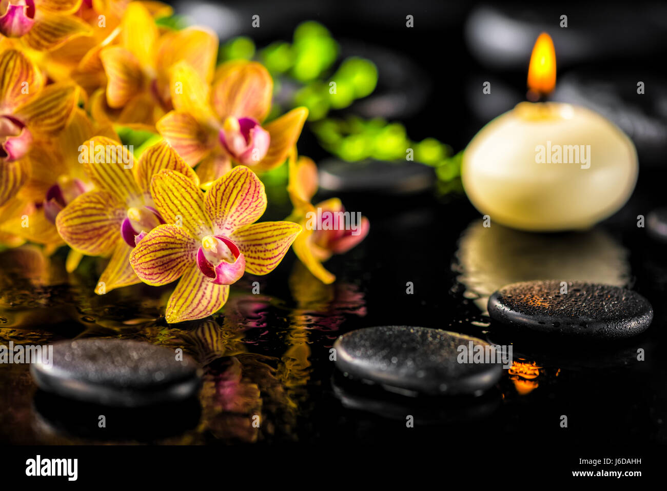 Bellissima spa composizione del blooming twig arancio fiori di orchidea, fogliame verde con gocce d'acqua, una candela e zen pietre di basalto, close up Foto Stock