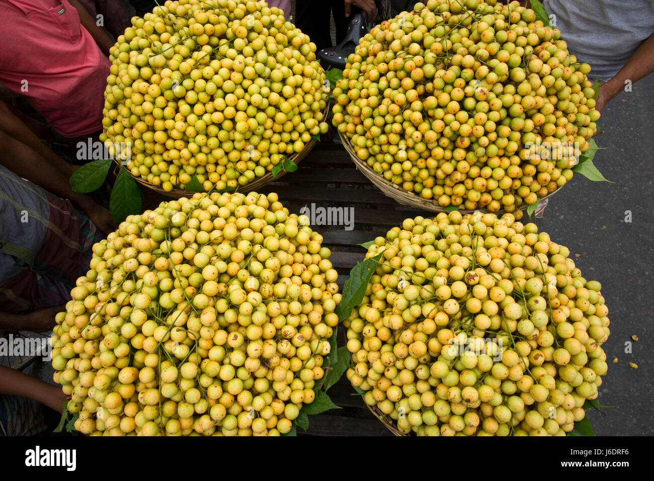 Di commercianti che vendono Lotkan Belabo a. Narsingdi, Bangladesh. Foto Stock