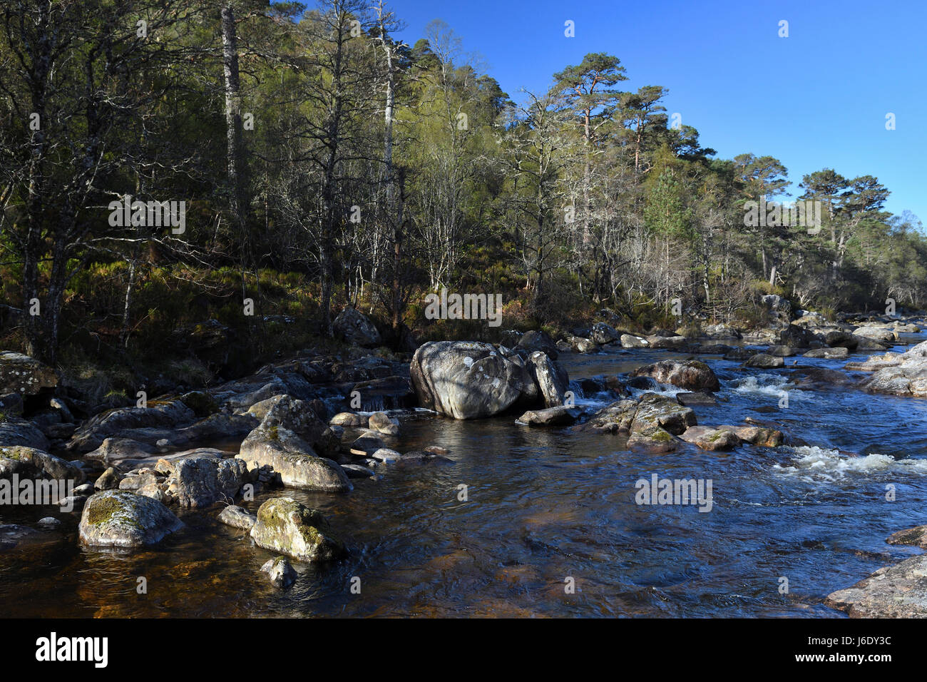 Glen Affric;fiume affric;alberi bianco;acqua;highlands;Scozia Foto Stock