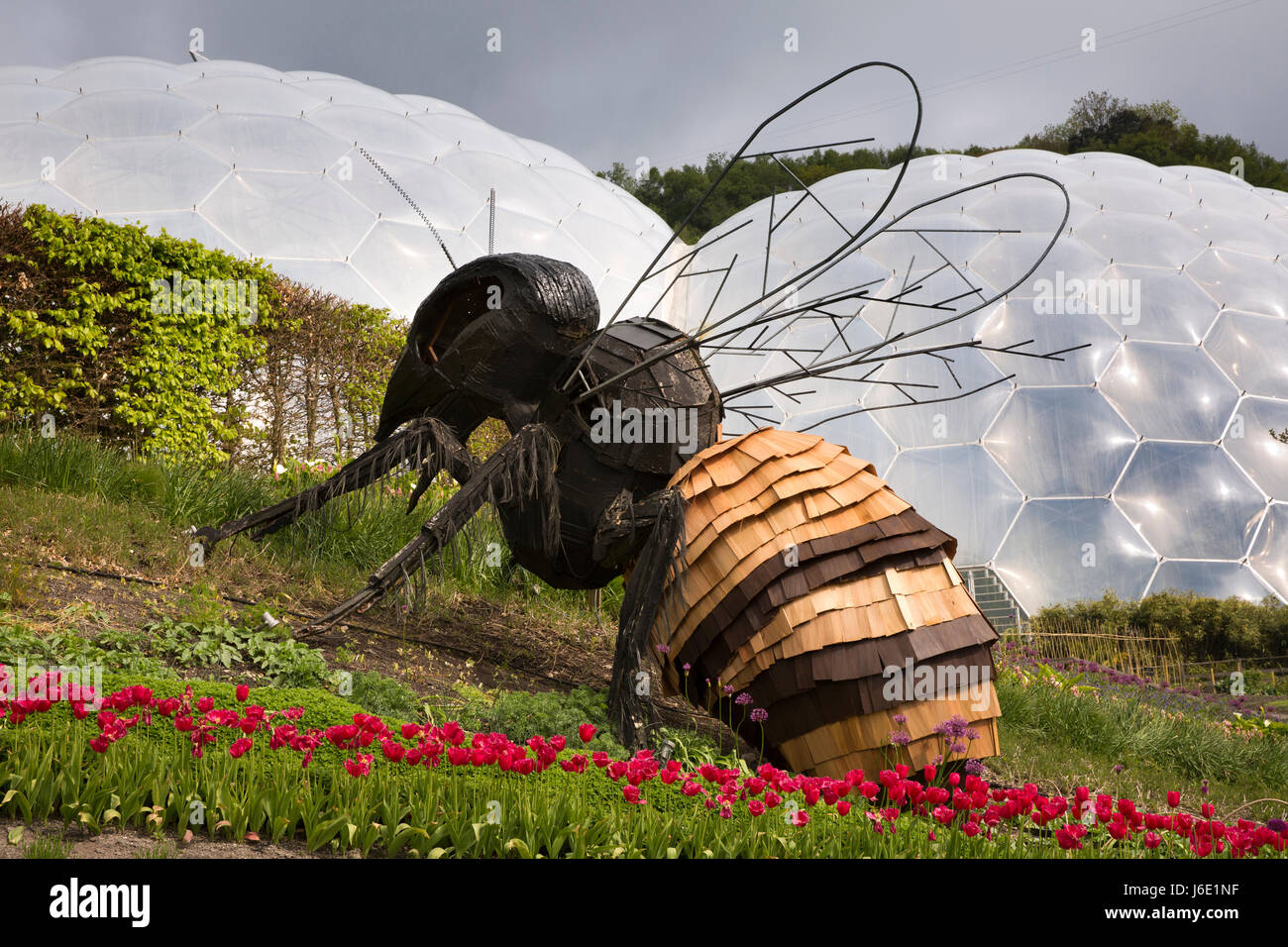 Regno Unito, Cornwall, St Austell, Bodelva, Eden Project, Giant bee scultura in floral piantare circa Biome Foto Stock