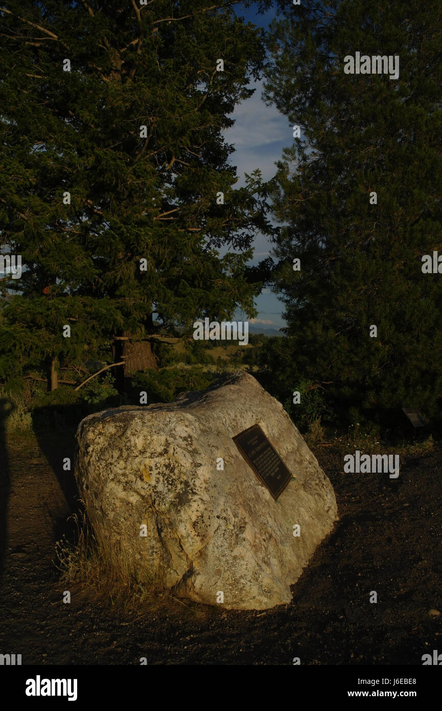 Ritratto di sera, est a Uhl Hill, John D. Rockefeller Jr omaggio tablet pietra di granito sotto gli alberi di pino, il pranzo Tree Hiil, Jackson Lake Lodge, Wyoming Foto Stock