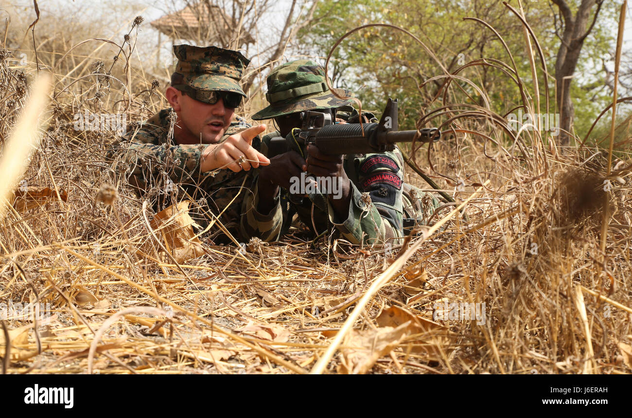 Sgt. Timothy Kuklis, un assaultman con scopi speciali Air-Ground Marine Task Force - Risposta in caso di crisi - Africa, rileva una anomalia ad un membro del Senegal di Compagnie Fusilier de Marin Commando durante un combattimento simulato patrol a Toubakouta, Senegal, 18 aprile 2017. Marines con SPMAGTF-CR-AF e il COFUMACO condotta a quattro alla settimana di formazione professionale esercizio che includeva il combattimento avanzate tecniche di cottura, una mitragliatrice gamma e un live-fire attacco di plotone di gamma. (U.S. Marine Corps foto di Sgt. Samuel Guerra/rilasciato) Foto Stock