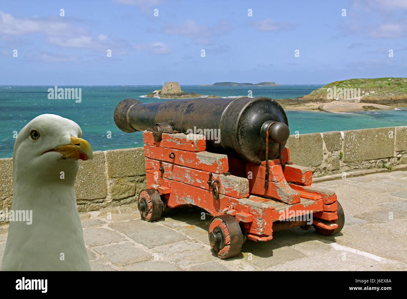 Città fortezza parete brittany cannon pistola difesa seagull gabbiano parete storico Foto Stock