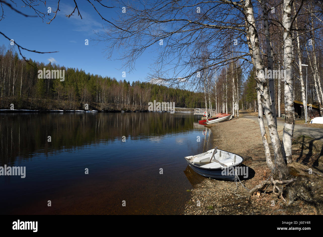 Giornata di Primavera con il blu del cielo e acqua calma su "Ume' fiume con alcune barche sulla riva e betulle in primo piano immagine dal nord della Svezia. Foto Stock
