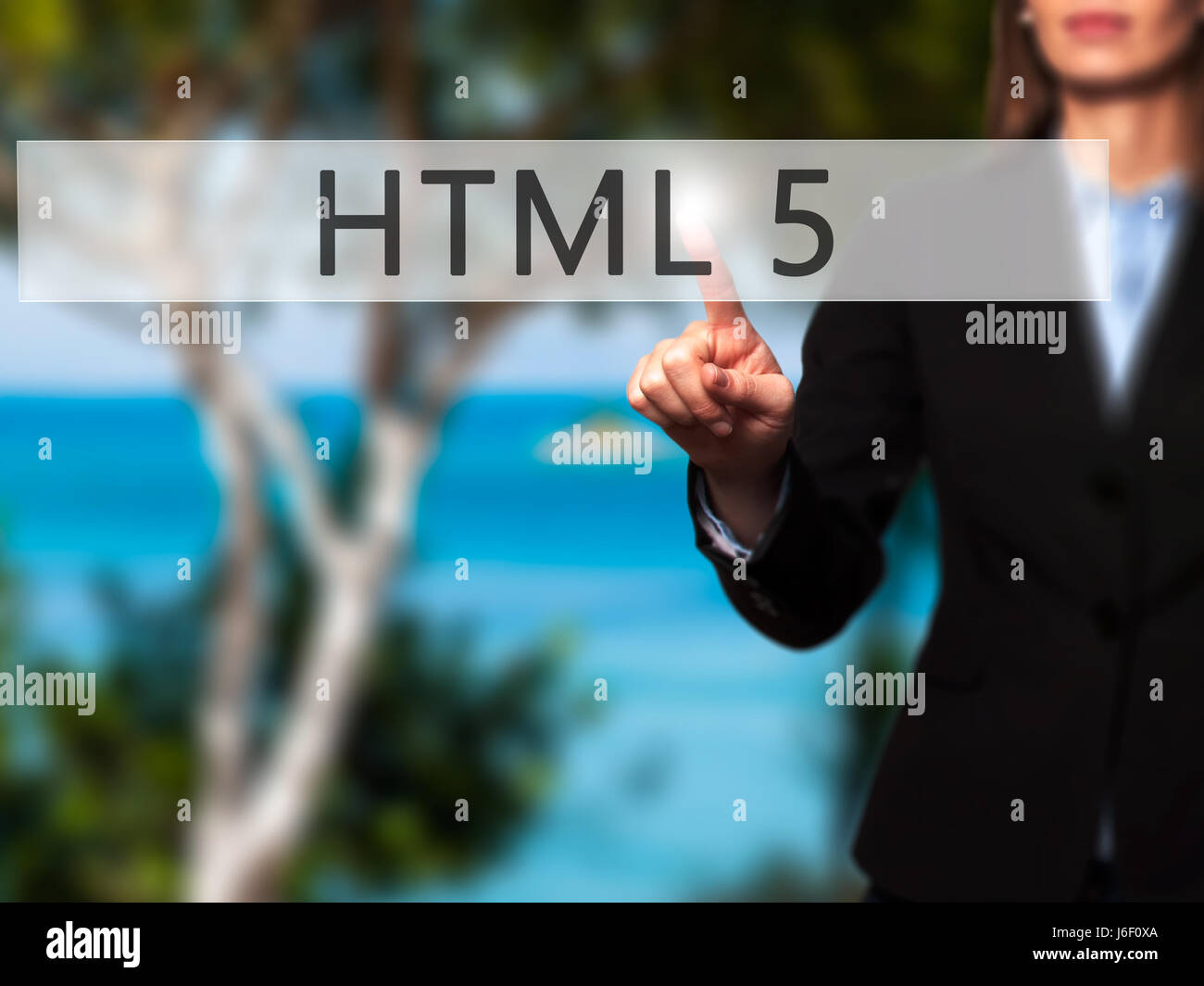 HTML 5 - Imprenditrice mano premendo il pulsante sul touch screen interfaccia. Business, tecnologia internet concetto. Stock Photo Foto Stock