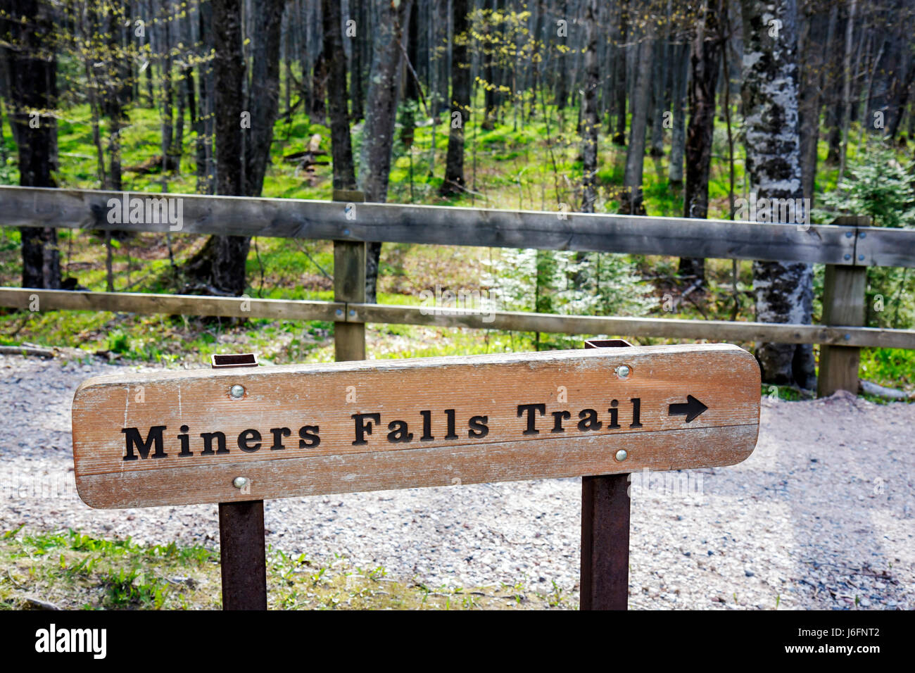 Michigan Upper Peninsula, U.P., UP, Lake Superior, Pictured Rocks National Lakeshore, Miners Falls Trail, Great Lakes, Early Spring, cartello, direzione, Nature wal Foto Stock