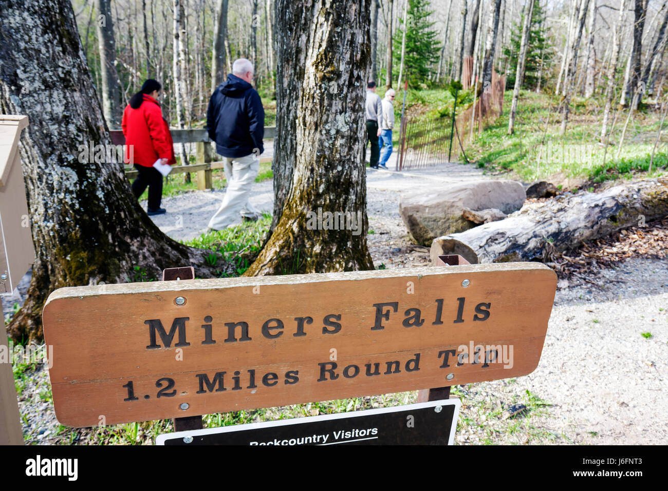 Michigan Upper Peninsula,U.P.,UP,Lake Superior,Pictured Rocks National Lakeshore,Miners Falls Trail,Great Lakes,Early Spring,sign,logo,direction,Europa Foto Stock