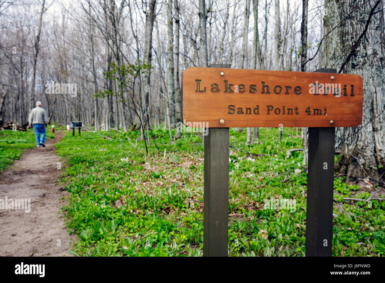 Michigan Upper Peninsula,U.P.,UP,Lake Superior,Pictured Rocks National Lakeshore,Lakeshore Trail,Northern hardwood Forest,Great Lakes,Early Spring,sig Foto Stock