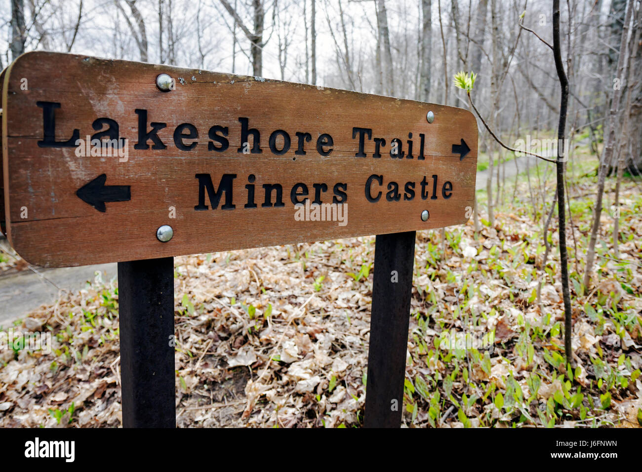 Michigan Upper Peninsula,U.P.,UP,Lake Superior,Pictured Rocks National Lakeshore,Lakeshore Trail,Northern hardwood Forest,Great Lakes,Early Spring,sig Foto Stock