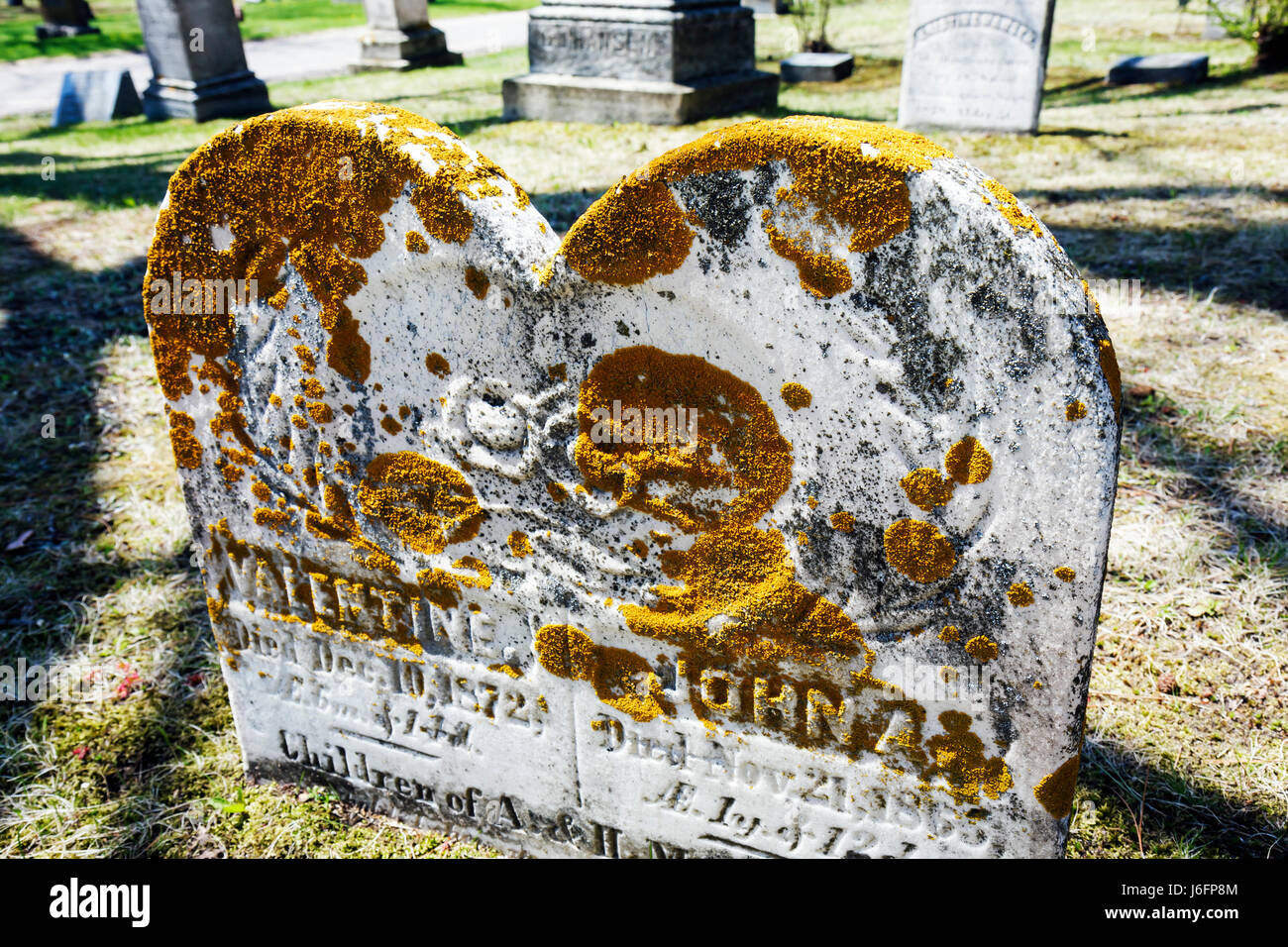 Marquette Michigan Upper Peninsula UP Lake Superior, Park Cemetery, Primavera precoce, tomba, lapide, morte, bambini, muschio, 19 ° secolo, MI090515032 Foto Stock