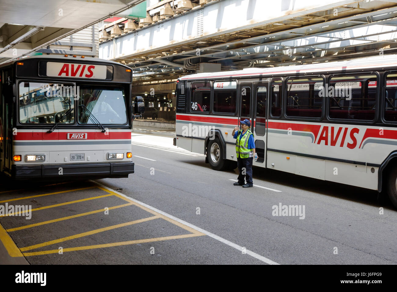 Chicago Illinois, ORD, o'Hare International Airport, Traffic Management Authority, donna donne, Avis noleggio auto navetta, bus, pullman, pubblica sicurezza, donna Foto Stock