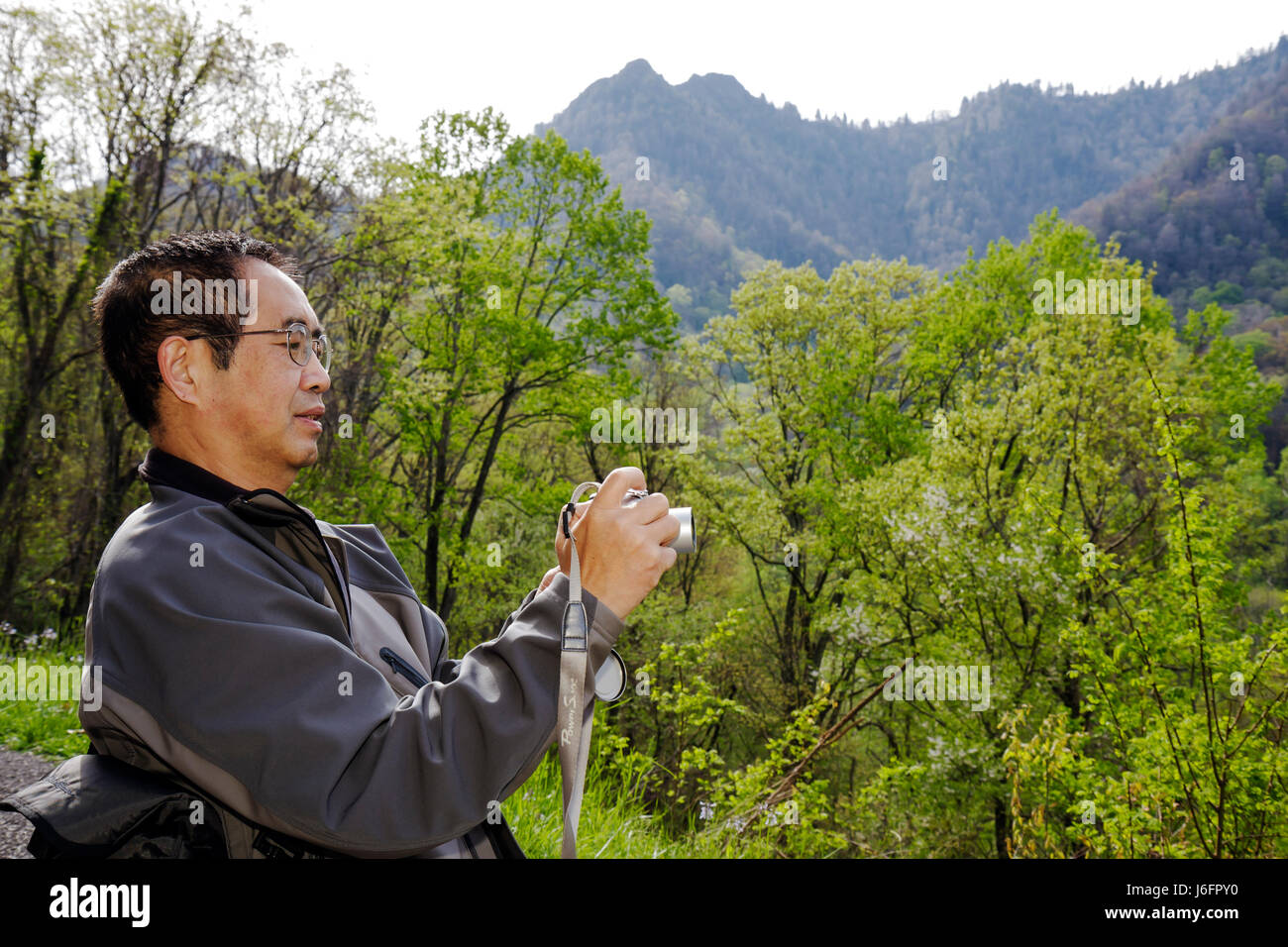 Tennessee Great Smoky Mountains National Park, Asian Asians etnia immigrati minoranza, uomo uomini maschio adulti, fotocamera, digitale, natura, natura Foto Stock