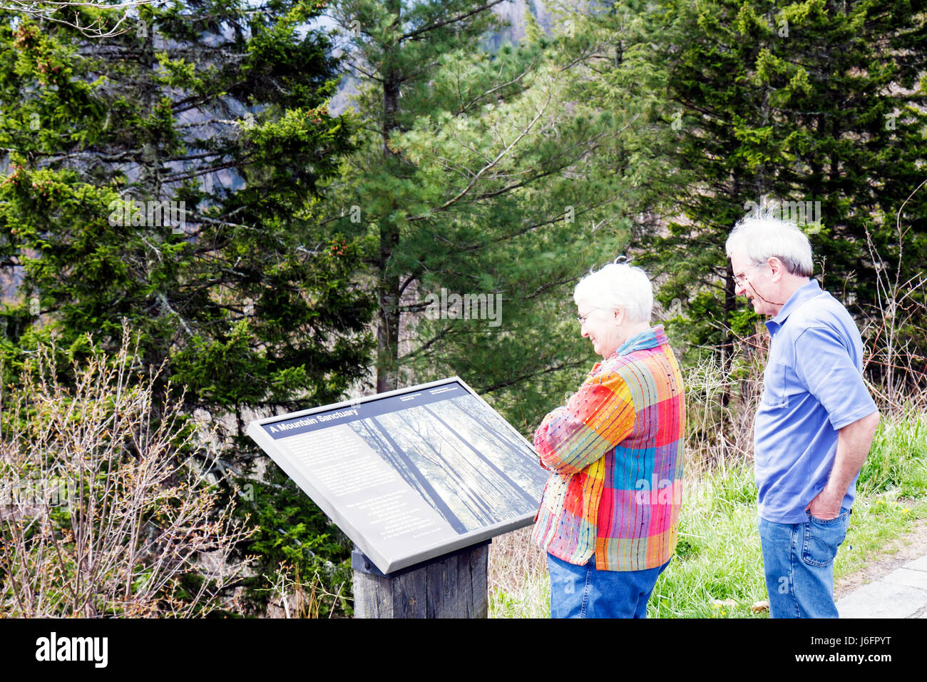 Tennessee Great Smoky Mountains National Park, newfound Gap, anziani cittadini, coppia, informazioni, Overlook, TN080501020 Foto Stock