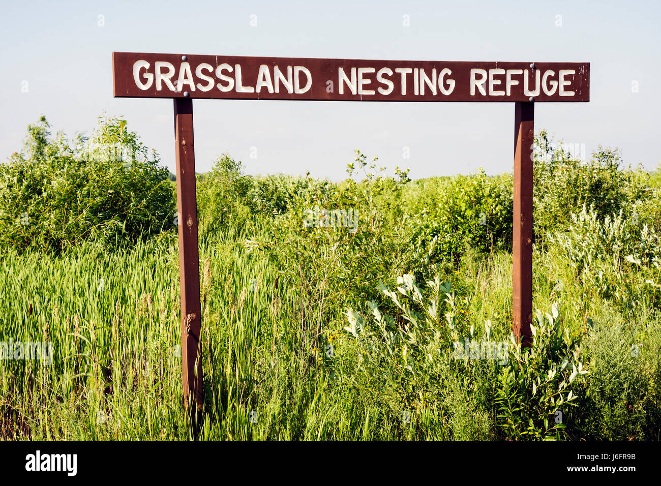 Contea di Kenosha del Wisconsin, Kenosha, Kansasville, Richard Bong state Recreation Area, rifugio di nidificazione delle praterie, prateria, paludi, cartello, ecologia, flora e fauna selvatiche Foto Stock