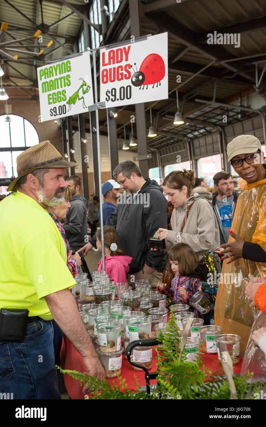 Detroit, Michigan STATI UNITI D'America - 21 Maggio 2017 - Migliaia folla Mercato Orientale per Detroit della molla del fiore annuale Giorno, quando centinaia di coltivatori di fiori di offrire i loro prodotti in vendita. Mercato orientale è Detroit di grandi dimensioni e a downtown farmers market. Un fornitore vende mantide religiosa uova e lady bug uova per giardinieri che vogliono sul controllo biologico dei parassiti. Foto Stock