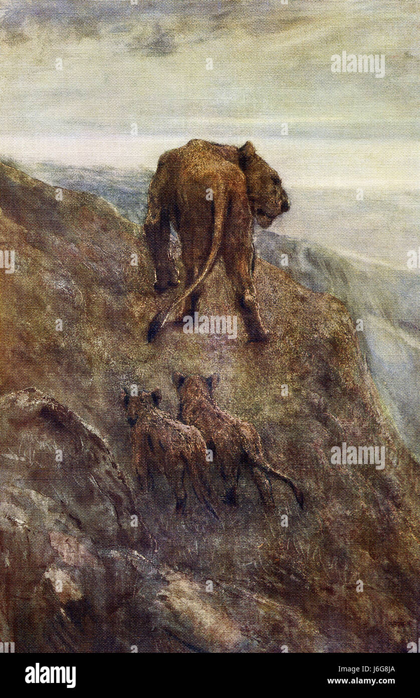 Questo dipinto, intitolato sull'avviso-Leonessa e lupetti, è stato fatto dal pittore inglese e lo scultore Giovanni Macallan Swan 1846-1910). Egli è stato un maestro nella pittura di animali. Cigno modellato i Lions per la Rhodes Memorial in Sud Africa. Egli aveva il dono di beingable per rivelare le caratteristiche peculia di animali in congiunzione con il loro ambiente naturale. Il suo talento è ben rappresentato in questo studio acquerelli di una leonessa e i suoi cuccioli in allerta la loro solidità rocciosa. Foto Stock