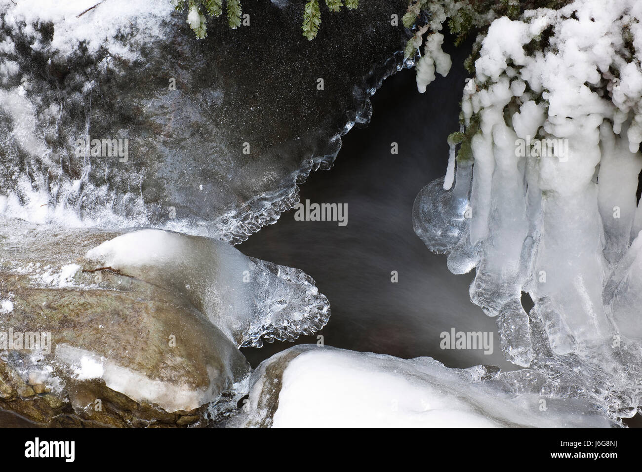 Sculture di ghiaccio nella foresta brook Foto Stock