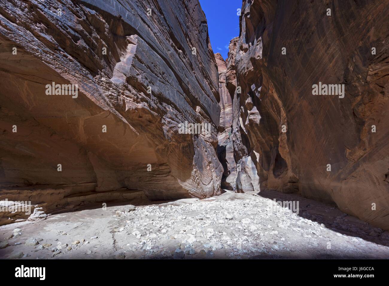 Escursionismo Daino Slot Gulch Canyon nel sud dello Utah Foto Stock