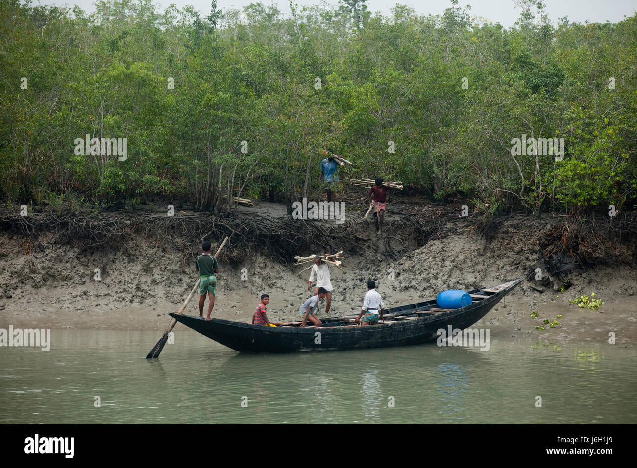 Vista del Sunderbans, un sito Patrimonio Mondiale dell'UNESCO e un santuario della fauna selvatica. Il litorale più grande foresta di mangrovie del mondo. Satkhira, Bangladesh Foto Stock