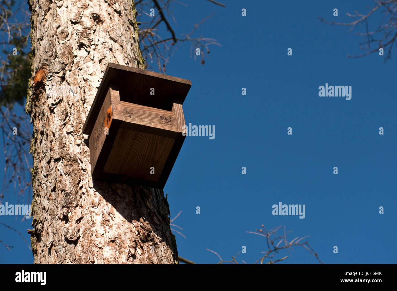 Man-made bird casa su un albero Foto Stock