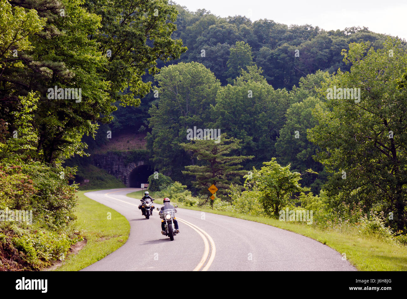 Blue Ridge Parkway Virginia, Appalachian Mountains, natura, naturale, paesaggio, alberi, curva, linee gialle, moto, bicicletta, ciclisti biciclette, bicycl Foto Stock