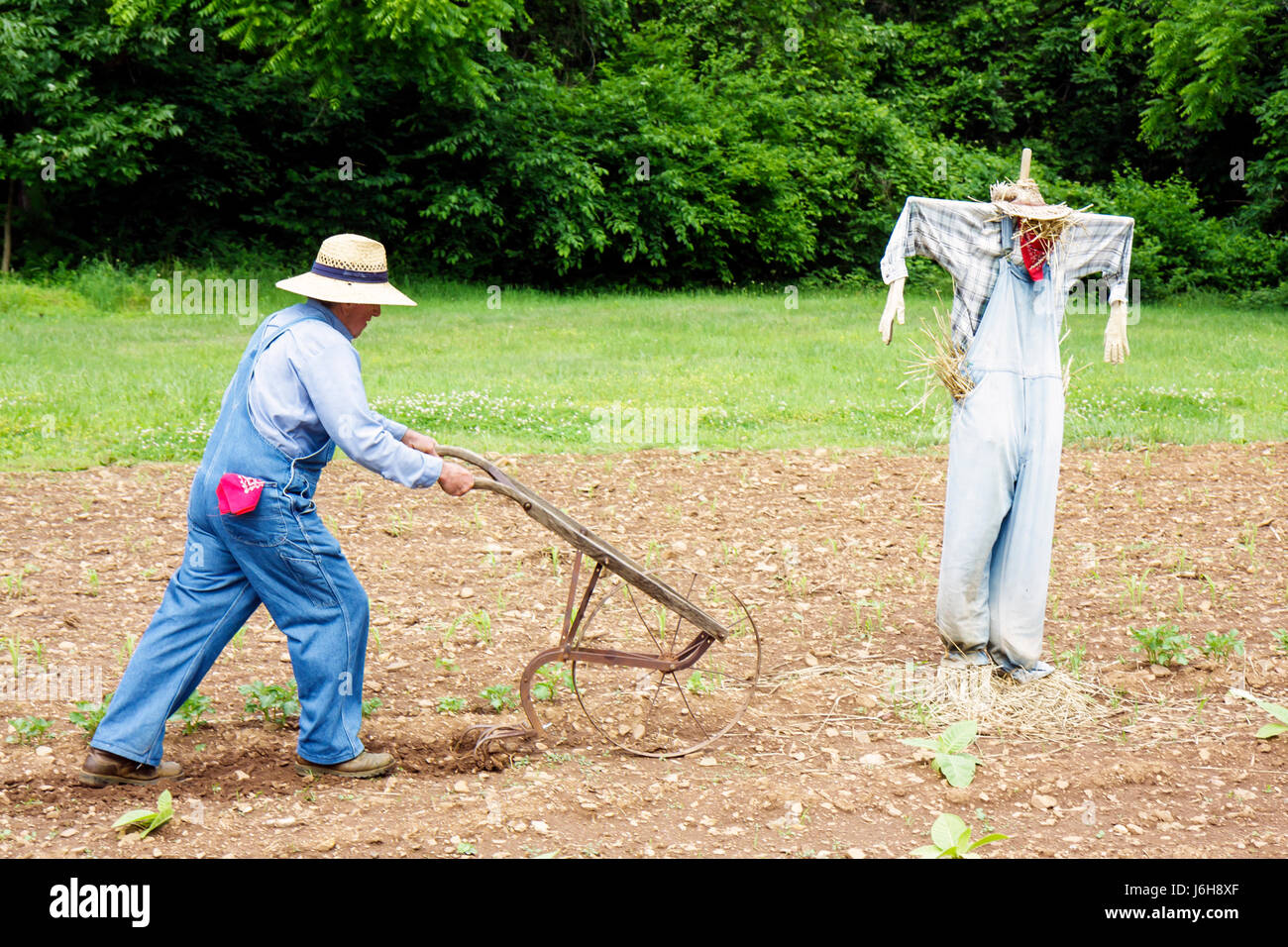 Blue Ridge Parkway Virginia, Appalachian Mountains, Humpback Rocks, Visitors Center, contadino, percorso fattoria del 19 ° secolo, storia locale, reenattore, uomo uomo maschio, f Foto Stock