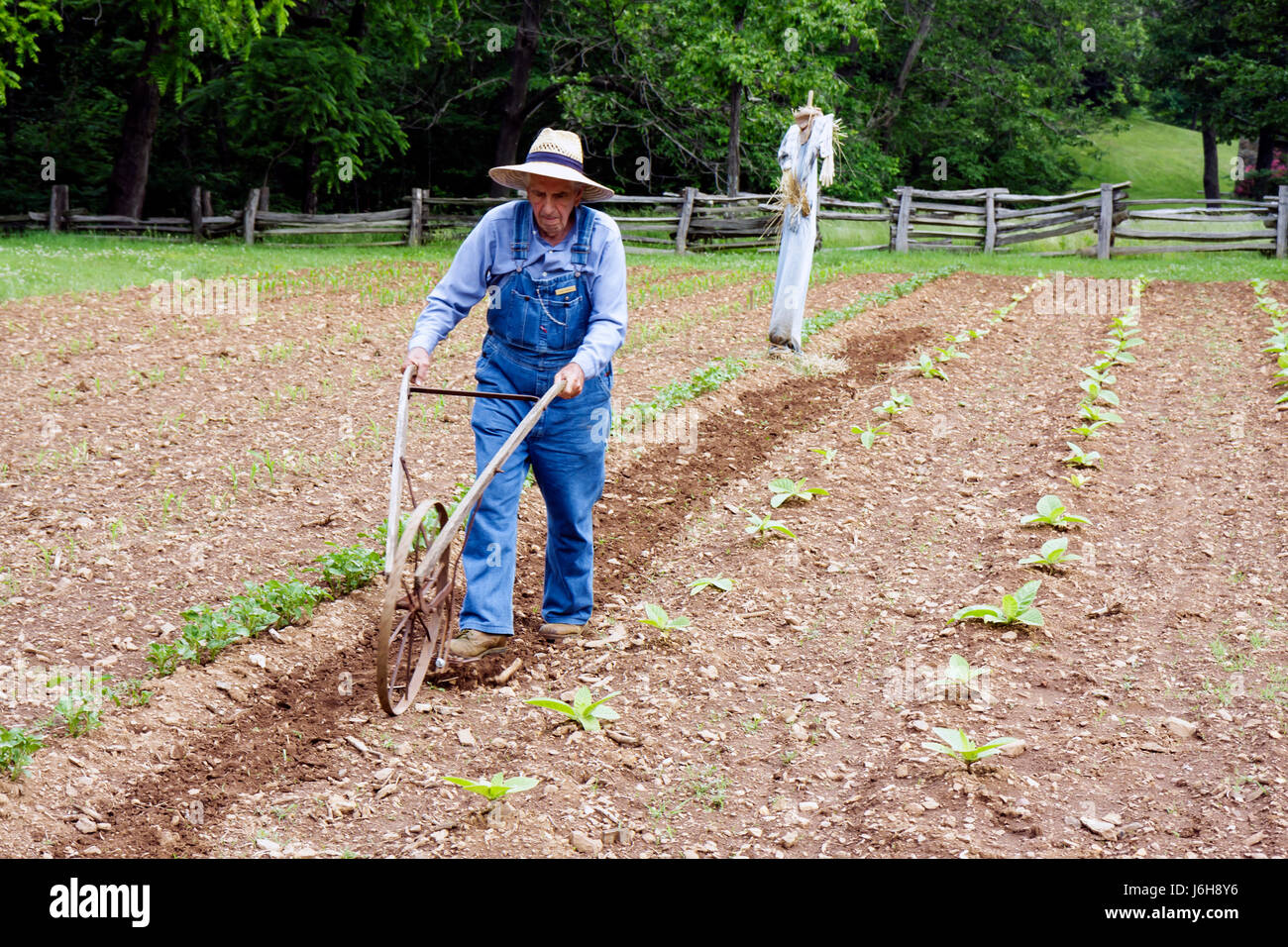 Blue Ridge Parkway Virginia, Appalachian Mountains, Humpback Rocks, Visitors Center, percorso fattoria del 19 ° secolo, storia locale, rienattore, uomo maschile, agricoltura, Foto Stock