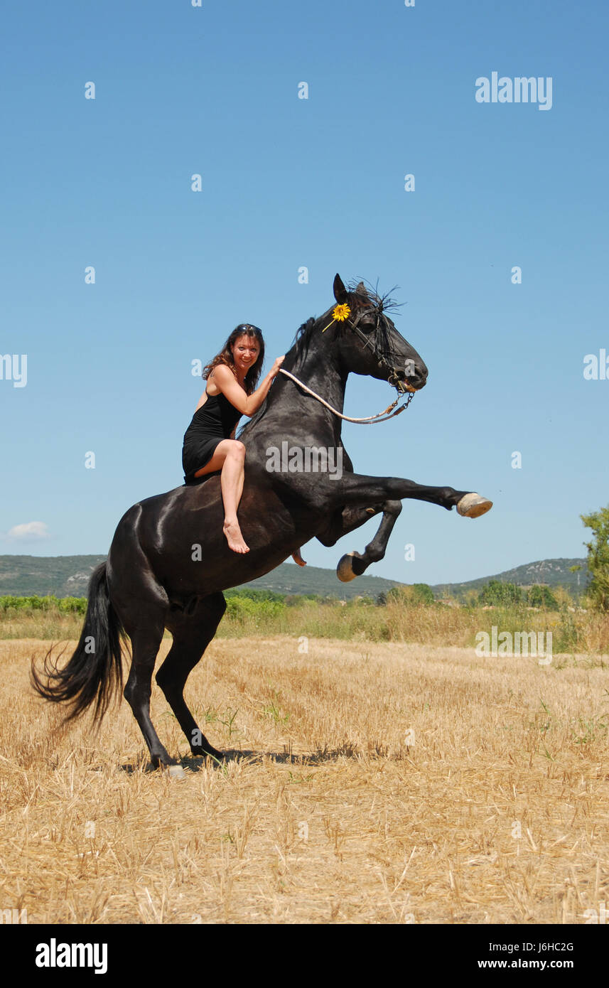 Donna stallone cavallo Equitazione blu allevamento ridere risate ridere twit risatina Foto Stock