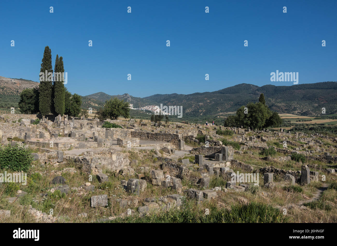 Le rovine romane di Volubilis, Meknes Tafilalet, Marocco Foto Stock