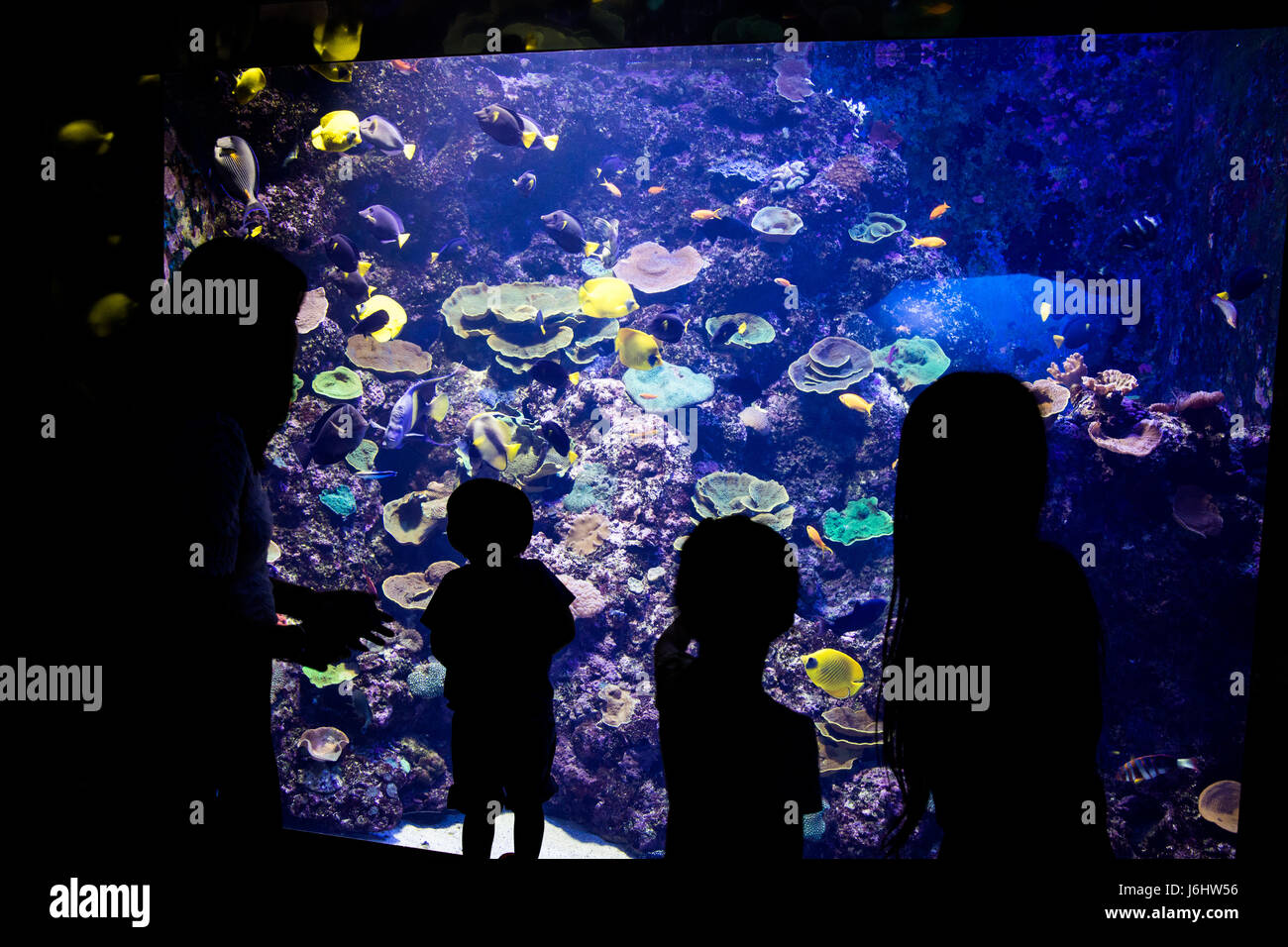 Una famiglia in Acquario Marino Singapore. Foto Stock