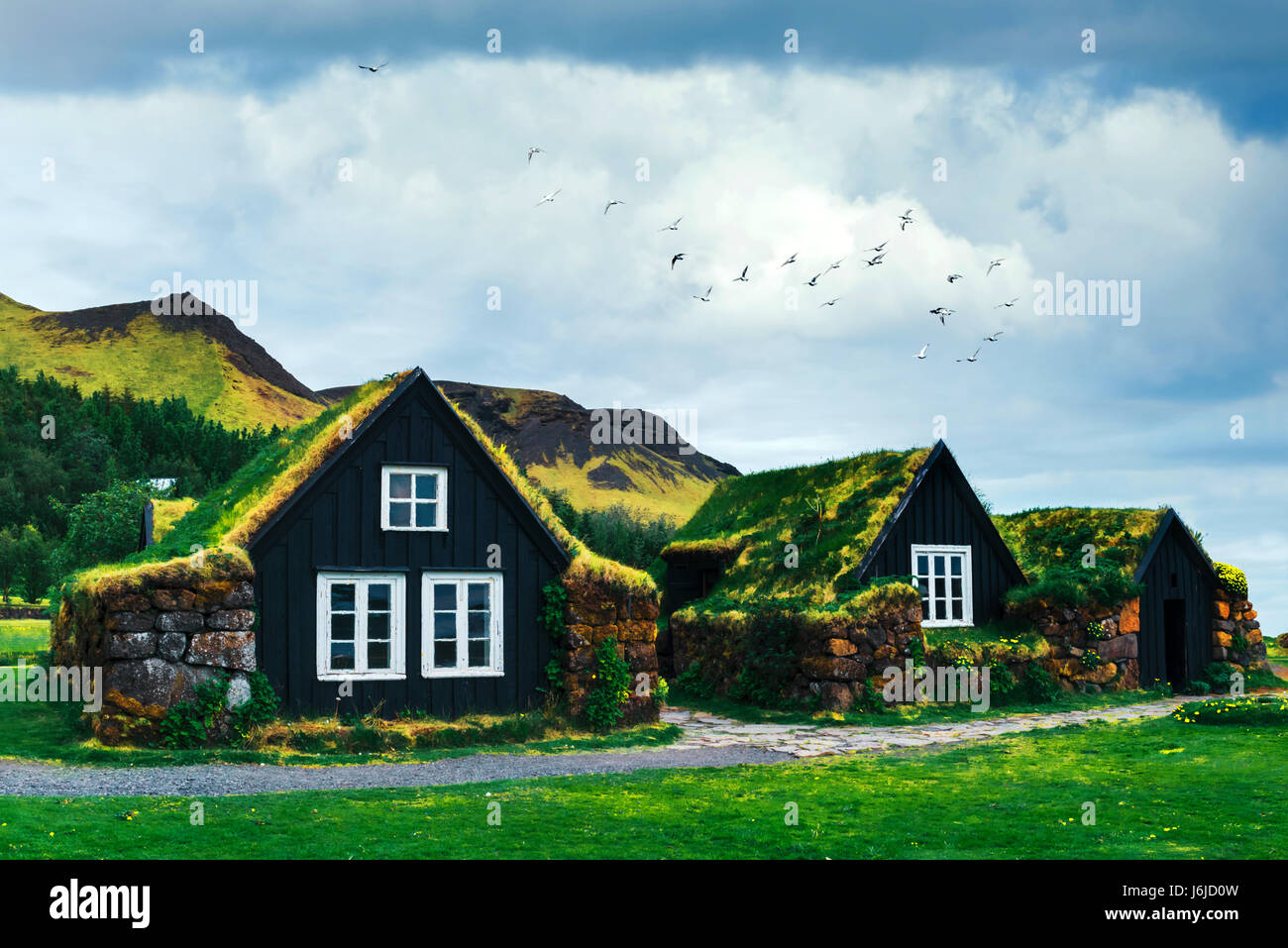 Case tradizionali con erba sul tetto in Islanda Foto Stock