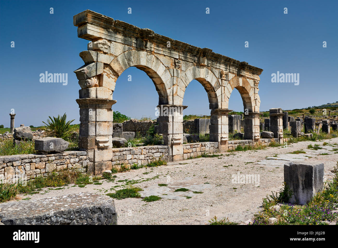 Il Decumanus Maximus, strada principale mediante escavazione romana di Volubilis, Marocco, Africa Foto Stock