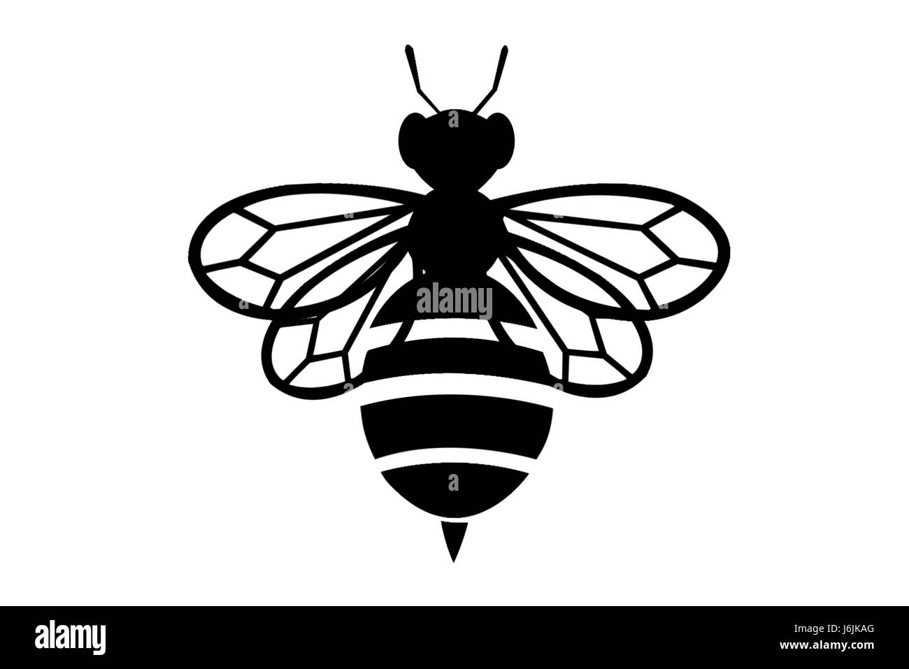 Ape nero su sfondo bianco simbolo icona silhouette Foto Stock