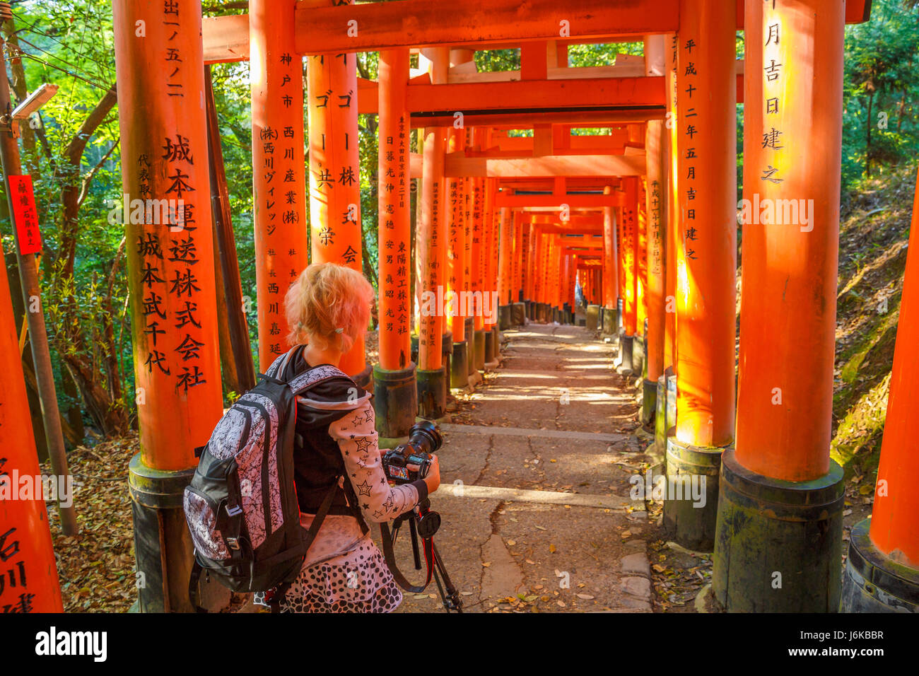 Fushimi Inari fotografo di viaggio Foto Stock