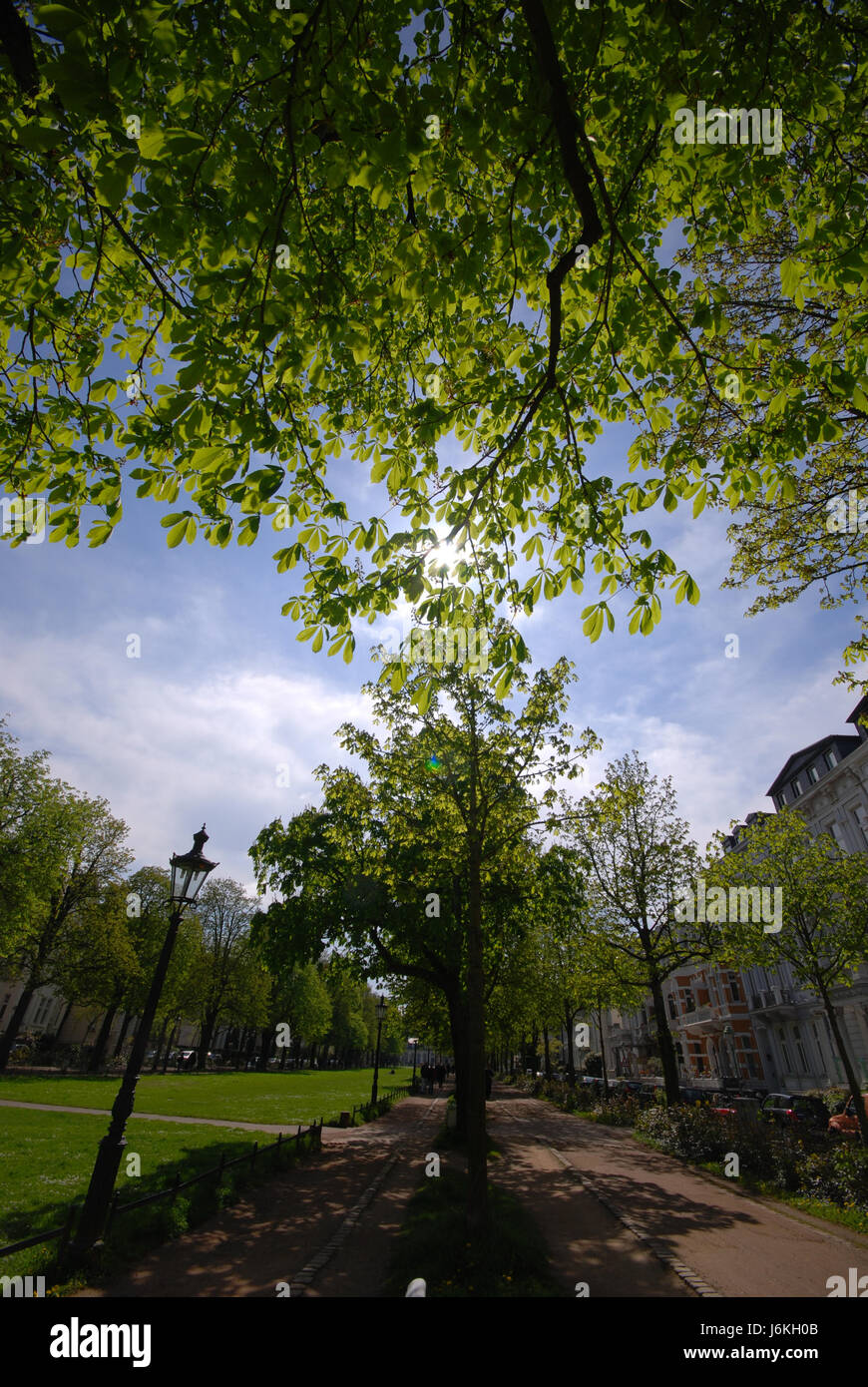 Estate in città Foto Stock
