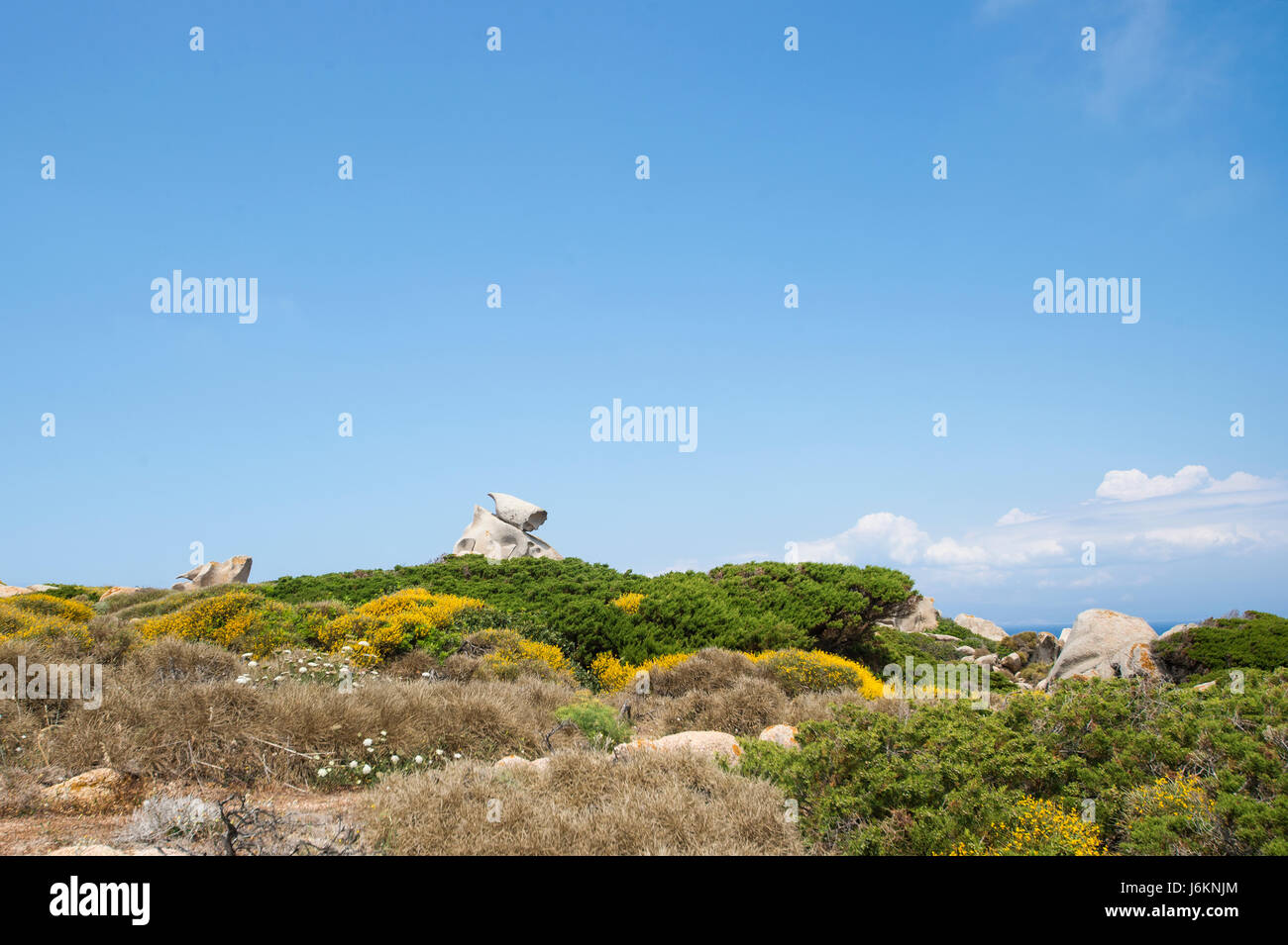 Piccolo percorso verso la spiaggia circondata da bellissimi fiori colorati. Foto Stock