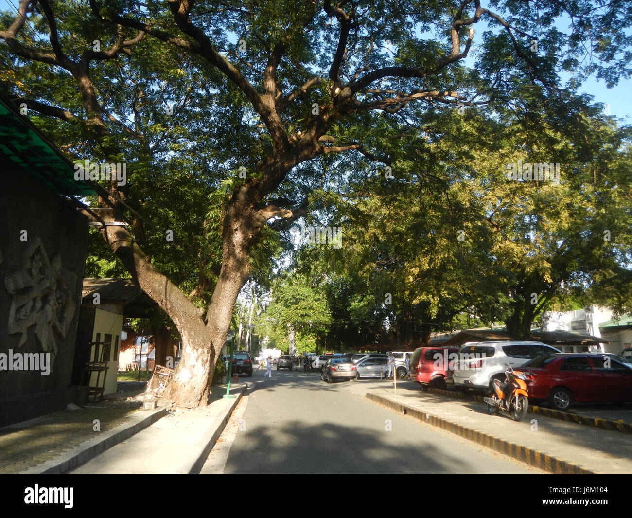 Il National Center for Mental Health di Mauway, Mandaluyong City, Filippine, è un'istituzione chiave focalizzata sui servizi di salute mentale e la ricerca. Foto Stock