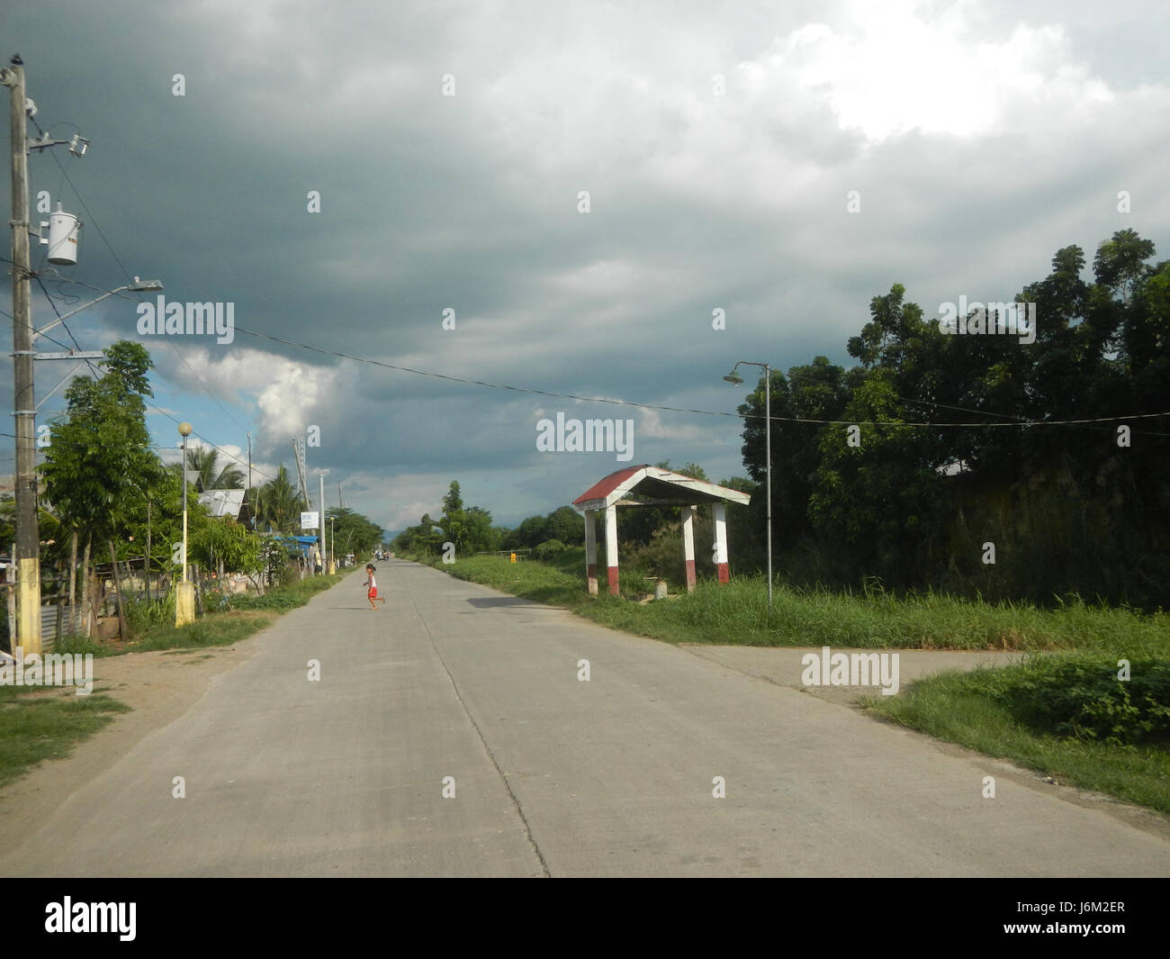 Le risaie di Magumbali, Candaba, Pampanga, sono sostenute da sistemi di irrigazione, circondati da alberi e accessibili via strada, sostenendo l'agricoltura locale nelle Filippine. Foto Stock