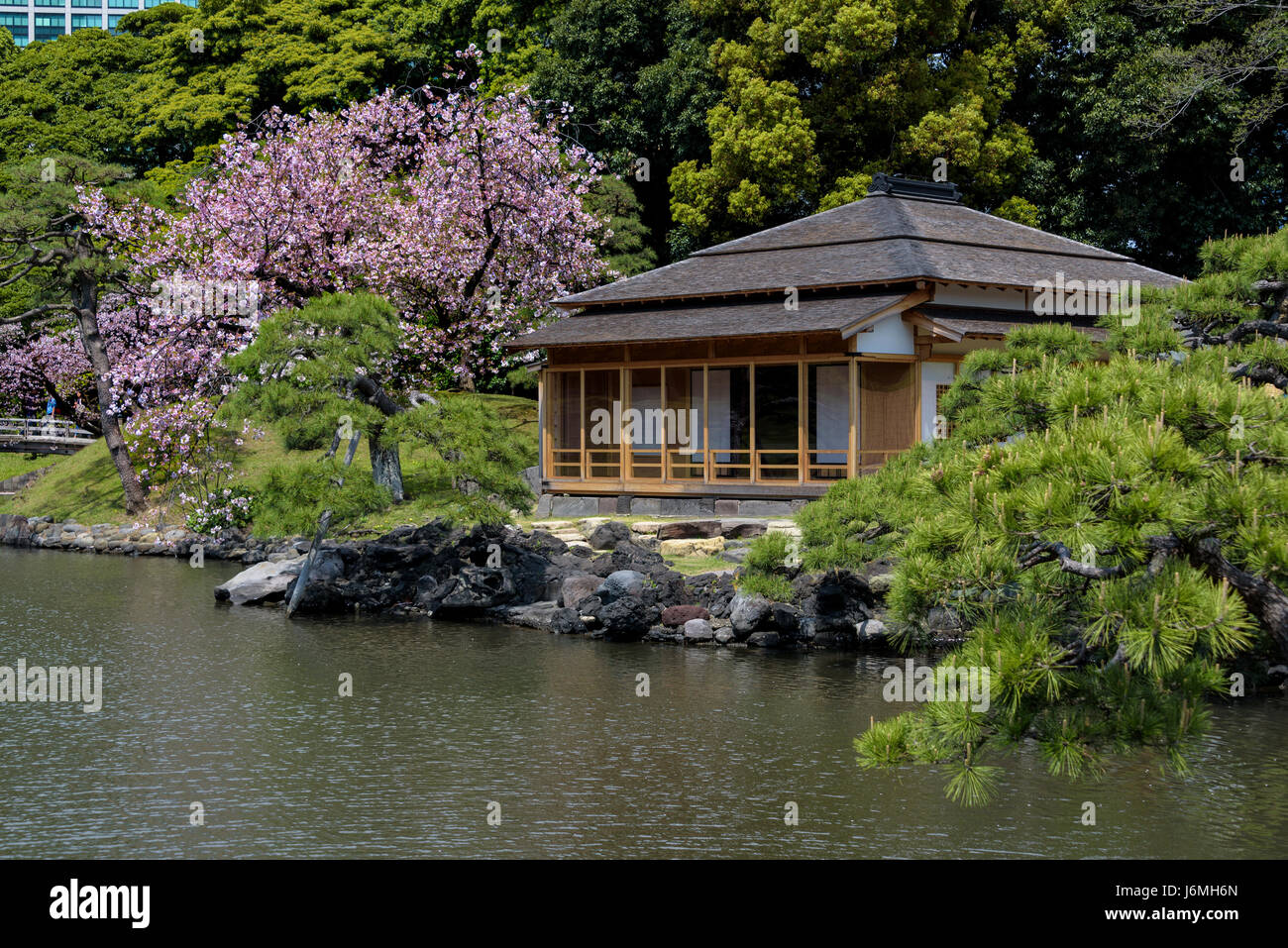Swallow teahouse o Tsubame no Ochaya, Hama Rikyu giardini giapponesi. Foto Stock