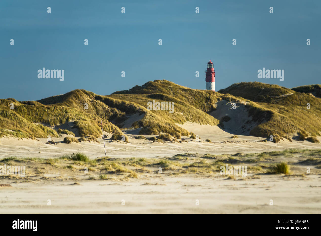 Dune sulla costa del Mare del Nord dell'isola Amrum, Germania. Foto Stock
