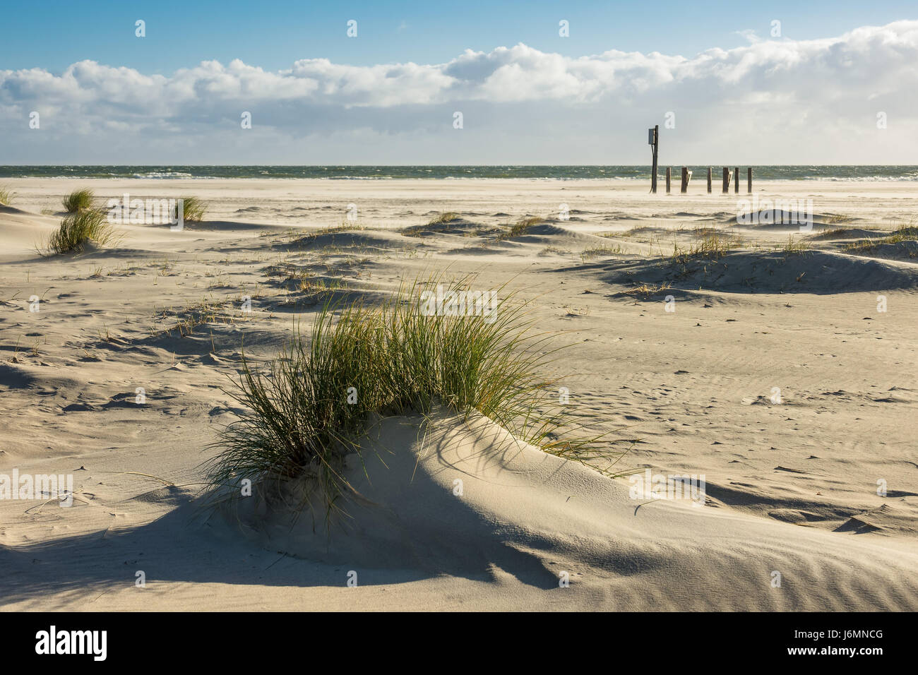 Dune sulla costa del Mare del Nord dell'isola Amrum, Germania. Foto Stock