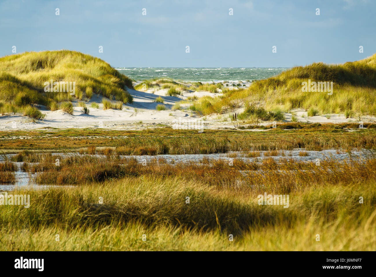 Dune sulla costa del Mare del Nord dell'isola Amrum, Germania. Foto Stock