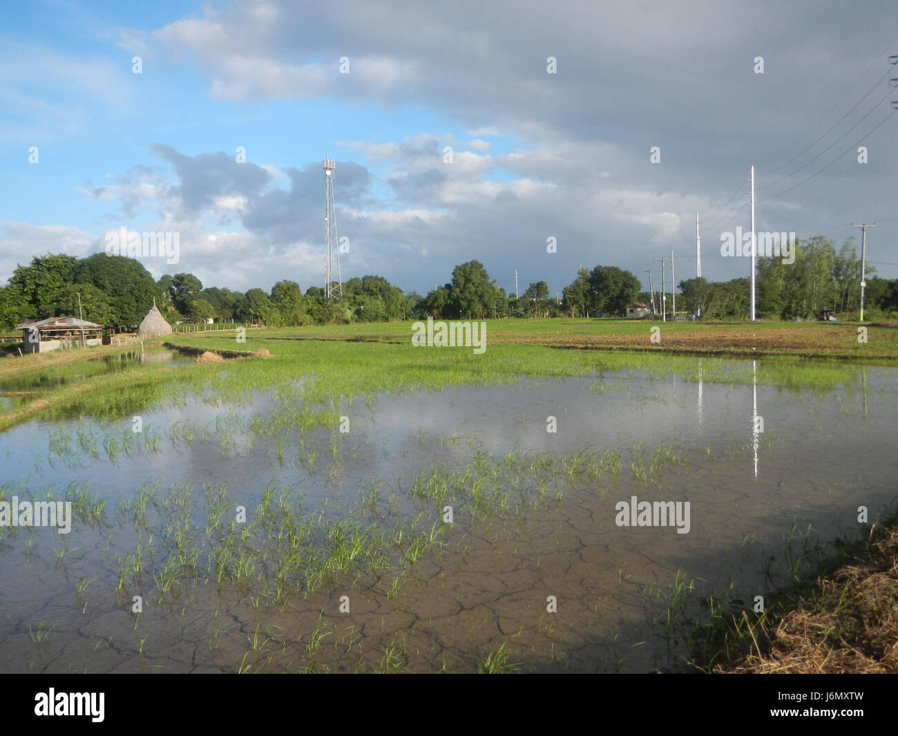 Questo luogo a Bulacan, Filippine, comprende Mabalas Balas, Diliman, i Salapungan, e altre aree della regione. Questi luoghi fanno parte di una rete stradale che collega varie città e aree di San Rafael, Bulacan. L'infrastruttura stradale facilita l'accesso tra le regioni importanti della provincia. Foto Stock