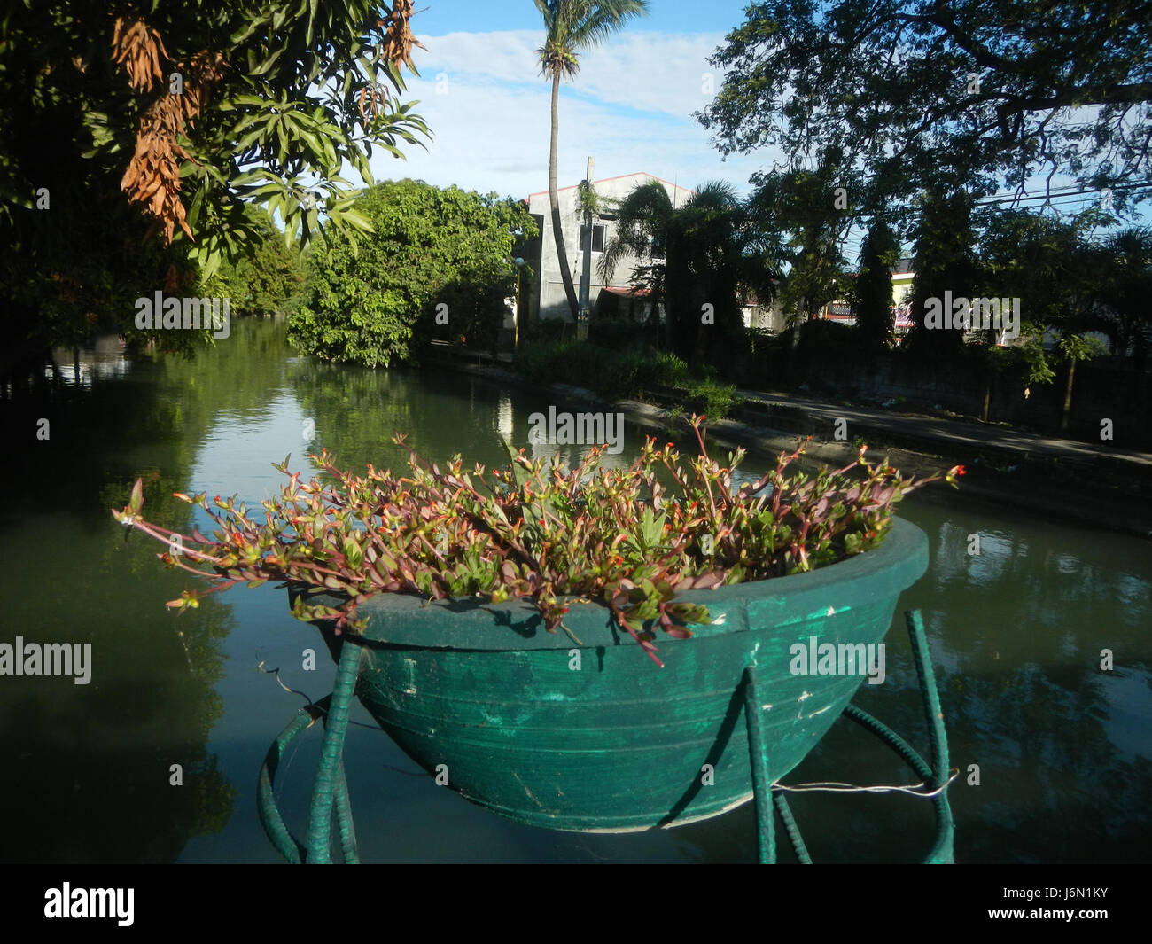 L'immagine raffigura il paesaggio agricolo di Bagong Nayon a Baliuag, Bulacan, con risaie, alberi e case. L'area è nota per i suoi sistemi di irrigazione e i ponti stradali che sostengono le attività agricole locali. Foto Stock