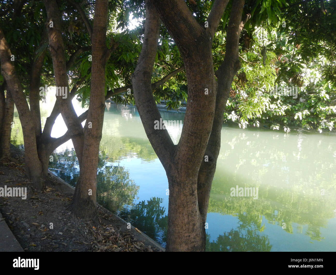 09218 risaie case alberi irrigazione Bagong Nayon Baliuag Bulacan ponti stradali 35 Foto Stock