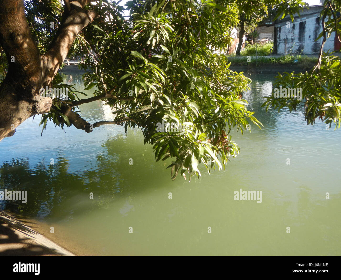 09261 risaie irrigazione Ravenala Bagong Nayon Baliuag Bulacan ponti stradali 16 Foto Stock